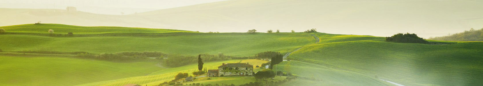 星空体育综合登录